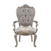 ACME Ariadne Side Chair (Set-2), Velvet & Antique Plantinum Finish DN02282