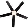 52 in.Outdoor Integrated Light Kit Glam Matte Black Ceiling Fan with 5 Plywood Blades, Remote Control