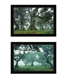 "Enchanted Forest Collection" 2-Piece Vignette By Martin Podt, Ready to Hang Framed Print, Black Frame (Color: as Pic)