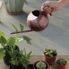 1L Stainless Steel Watering Pot Gardening Potted Small Watering Can With Handle For Watering Plants Flower Garden Tool